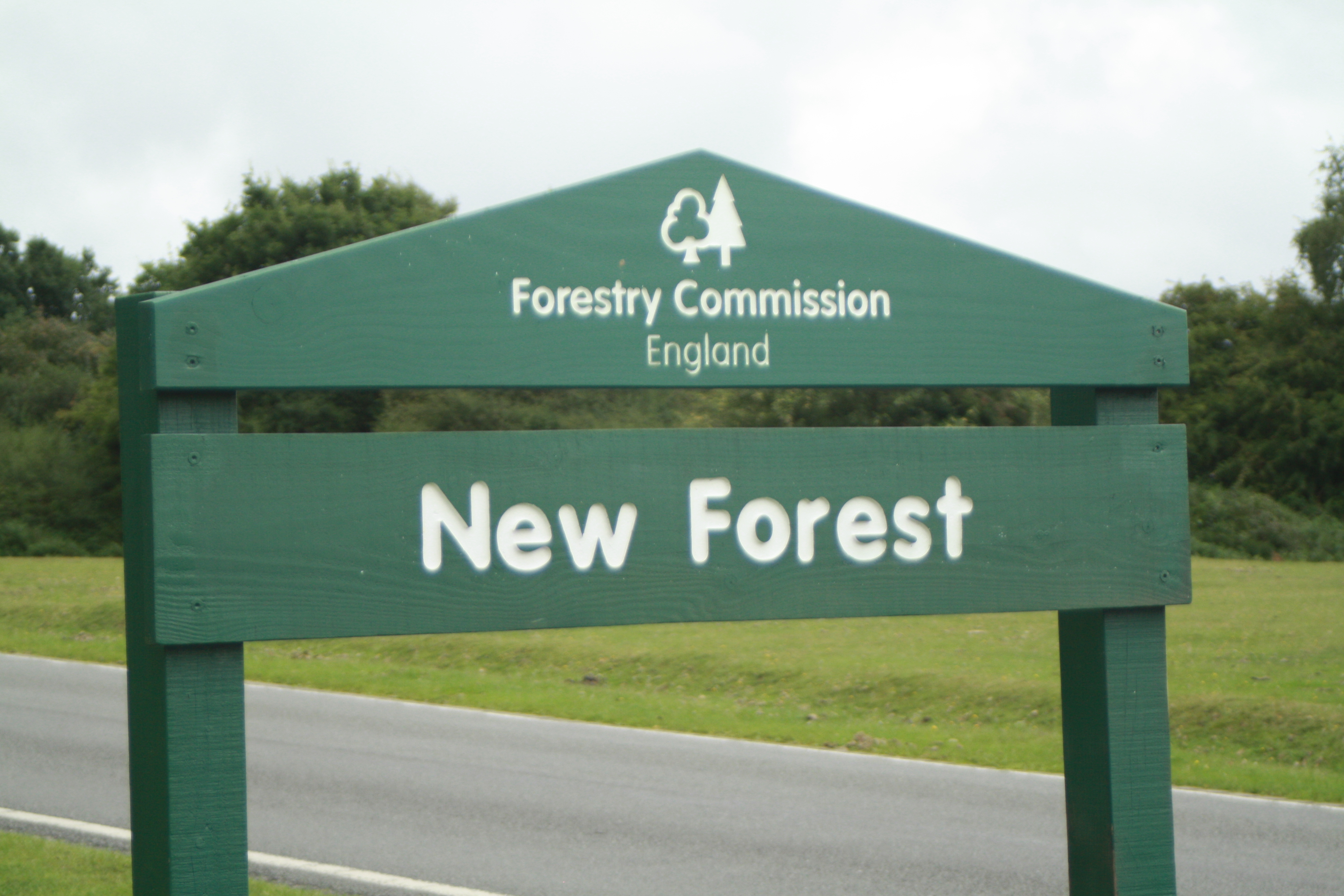 New Forest District Council open to suggestions for sites to develop